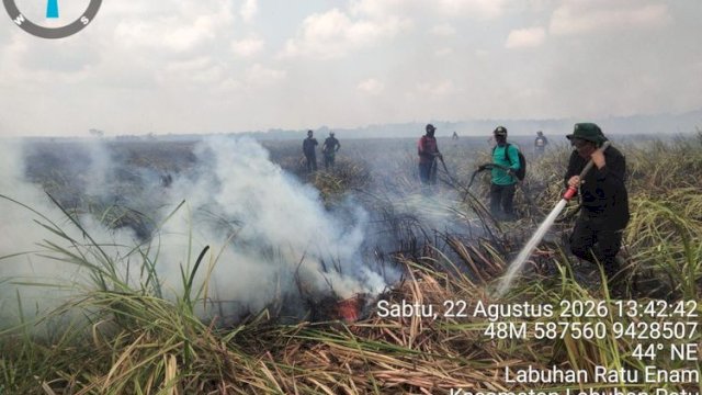 Kebakaran Hutan Terjadi di Wilayah Resort Kuala Penet, TN Way Kambas Bersama Para Pihak Lakukan Pemadaman