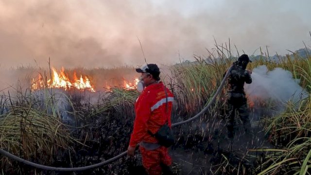 Kementerian Kehutanan memastikan kebakaran hutan di kawasan Resor Kuala Penet, Taman Nasional Way Kambas, Kabupaten Lampung Timur, berhasil dipadamkan.