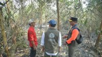 Tinjau Karhutla Kalsel, Menhut Raja Antoni: Api Sudah Tak Terlihat, tapi Gambut Masih Berasap