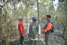 Tinjau Karhutla Kalsel, Menhut Raja Antoni: Api Sudah Tak Terlihat, tapi Gambut Masih Berasap