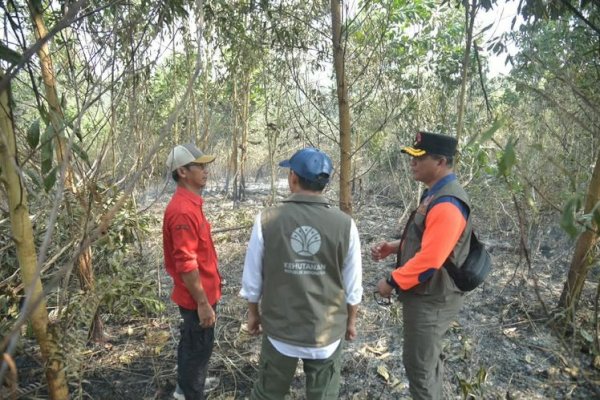 Tinjau Karhutla Kalsel, Menhut Raja Antoni: Api Sudah Tak Terlihat, tapi Gambut Masih Berasap