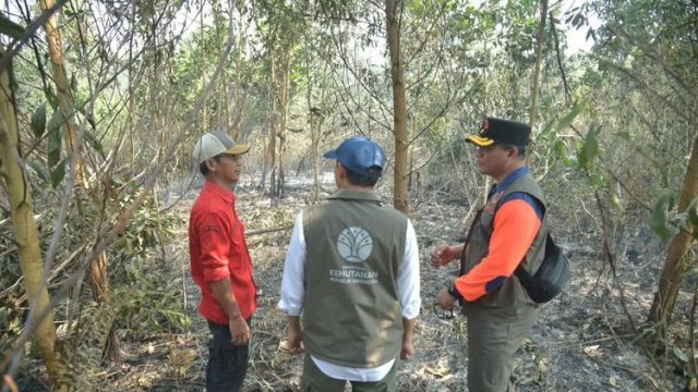 Menteri Kehutanan Raja Antoni meninjau langsung penanganan kebakaran hutan dan lahan (karhutla) di Kabupaten Banjar, Kalimantan Selatan.