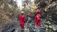 Kemenhut Tegaskan PBPH Wajib Lakukan Langkah Ekstra dalam Pengendalian Karhutla di Arealnya