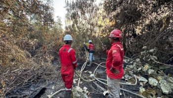 Kemenhut Tegaskan PBPH Wajib Lakukan Langkah Ekstra dalam Pengendalian Karhutla di Arealnya