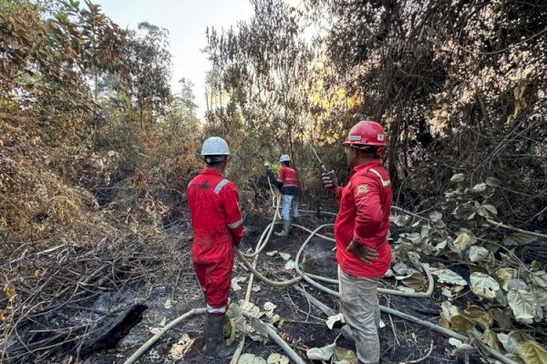 Kemenhut Tegaskan PBPH Wajib Lakukan Langkah Ekstra dalam Pengendalian Karhutla di Arealnya