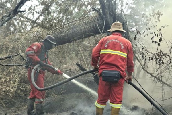 Hotspot Meningkat, Kemenhut Perkuat Operasi Karhutla dan Pemantauan Dampak Asap