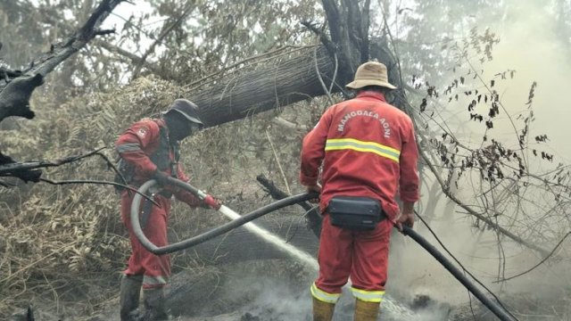 Hotspot Meningkat, Kemenhut Perkuat Operasi Karhutla dan Pemantauan Dampak Asap