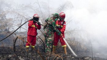 Update Karhutla: Hotspot Menurun, Penanganan Diperkuat