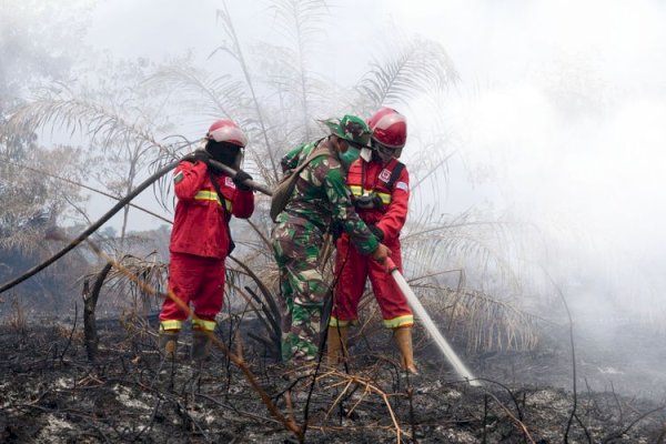 Update Karhutla: Hotspot Menurun, Penanganan Diperkuat