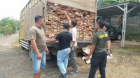 Kemenhut Amankan Truk Kayu Diduga dari TN Bukit Tigapuluh, Penyidik Telusuri Pemasok Hingga Penerima