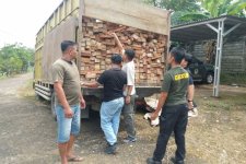 Kemenhut Amankan Truk Kayu Diduga dari TN Bukit Tigapuluh, Penyidik Telusuri Pemasok Hingga Penerima