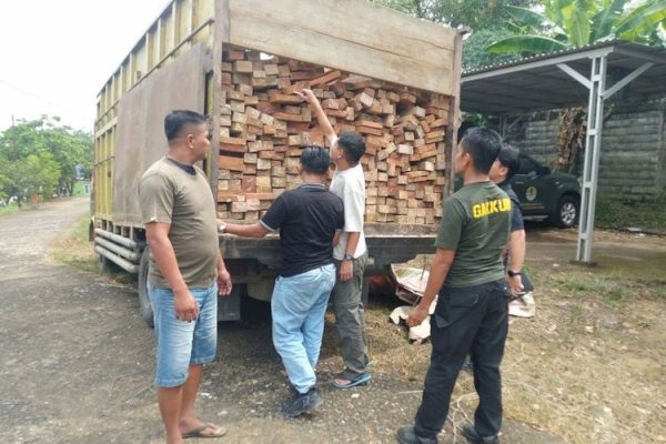Kemenhut Amankan Truk Kayu Diduga dari TN Bukit Tigapuluh, Penyidik Telusuri Pemasok Hingga Penerima