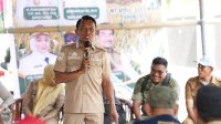 Desa Padaloang Alau Tetap Panen 11,6 Ton per Hektare di Tengah El Nino