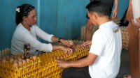 Bupati Syaharuddin Tinjau Peternakan 200 Ribu Ayam, Telur Sidrap Tembus Kalimantan