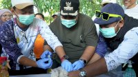 Cegah Rabies Kembali Merebak, Pemkab Maros Gelar Vaksinasi Gratis