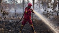 Hotspot High Confidence Meningkat, Kemenhut Perkuat Respons Lapangan dan Perlindungan Satwa Liar