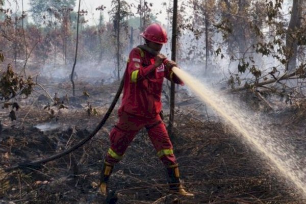 Hotspot High Confidence Meningkat, Kemenhut Perkuat Respons Lapangan dan Perlindungan Satwa Liar