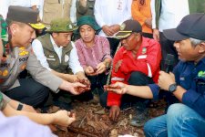 Menhut Raja Juli Antoni: BPGMN Segera Terbentuk
