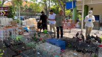 Kemenhut Gagalkan Pengangkutan 3.578 Burung Antarpulau