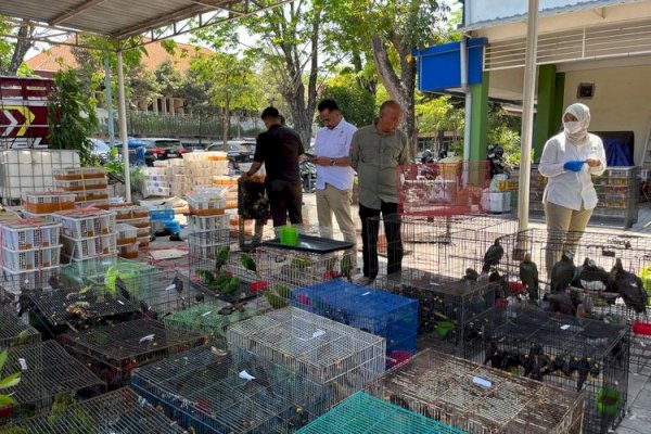 Kemenhut Gagalkan Pengangkutan 3.578 Burung Antarpulau