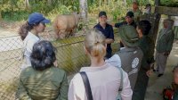 Menhut-Dubes Norwegia ke Way Kambas Pantau Pengendalian Karhutla-Konservasi Gajah Sumatera