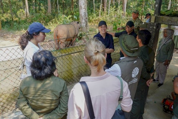 Menhut-Dubes Norwegia ke Way Kambas Pantau Pengendalian Karhutla-Konservasi Gajah Sumatera