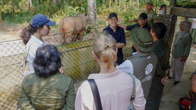 Menhut-Dubes Norwegia ke Way Kambas Pantau Pengendalian Karhutla-Konservasi Gajah Sumatera