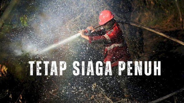 Kementerian kehutanan