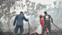 Hujan Turun di Sebagian Kalbar, Kemenhut Tetap Perkuat Pengendalian Karhutla di Enam Provinsi