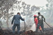 Hujan Turun di Sebagian Kalbar, Kemenhut Tetap Perkuat Pengendalian Karhutla di Enam Provinsi