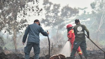 Hujan Turun di Sebagian Kalbar, Kemenhut Tetap Perkuat Pengendalian Karhutla di Enam Provinsi