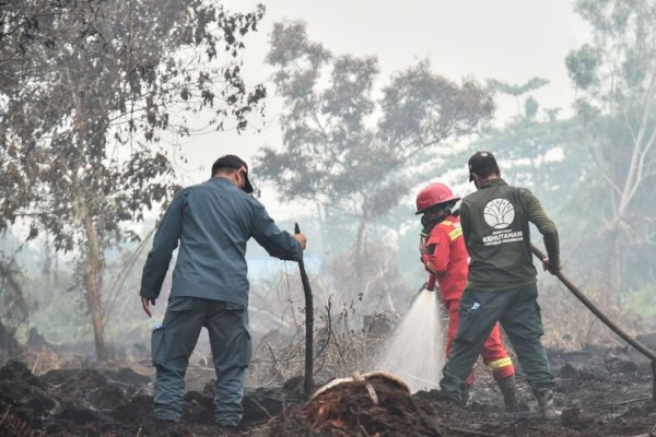 Hujan Turun di Sebagian Kalbar, Kemenhut Tetap Perkuat Pengendalian Karhutla di Enam Provinsi