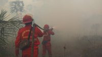 Kementerian Kehutanan Perkuat Pengendalian Karhutla di Enam Provinsi Prioritas