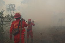 Kementerian Kehutanan Perkuat Pengendalian Karhutla di Enam Provinsi Prioritas