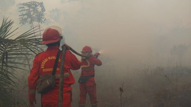 Kementerian Kehutanan 