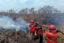 Riau dan Jambi Nihil Hotspot High Confidence, Kemenhut Perkuat Pengendalian Karhutla di Kalimantan
