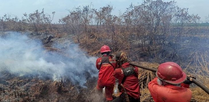 Riau dan Jambi Nihil Hotspot High Confidence, Kemenhut Perkuat Pengendalian Karhutla di Kalimantan