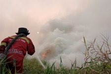 Data Terbaru Kemenhut: Hotspot Karhutla di Kalteng-Kalbar Turun Tajam