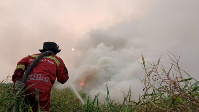Data Terbaru Kemenhut: Hotspot Karhutla di Kalteng-Kalbar Turun Tajam