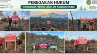 Data Lengkap Penanganan Kasus Karhutla Kemenhut, Sanksi Tegas Menanti