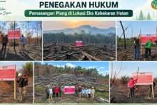 Data Lengkap Penanganan Kasus Karhutla Kemenhut, Sanksi Tegas Menanti