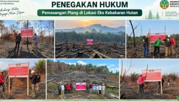 Data Lengkap Penanganan Kasus Karhutla Kemenhut, Sanksi Tegas Menanti