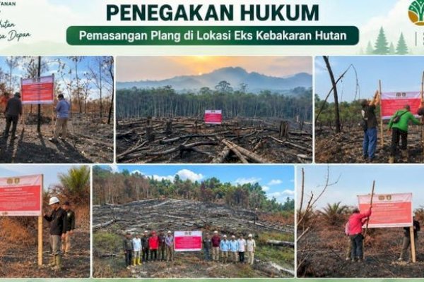 Data Lengkap Penanganan Kasus Karhutla Kemenhut, Sanksi Tegas Menanti