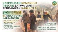 Upaya Serius Kemenhut Rescue Satwa Liar Terdampak Karhutla