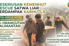 Upaya Serius Kemenhut Rescue Satwa Liar Terdampak Karhutla