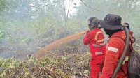 Hotspot Nasional Turun, Riau Nihil, Pengendalian Sumsel Diperkuat