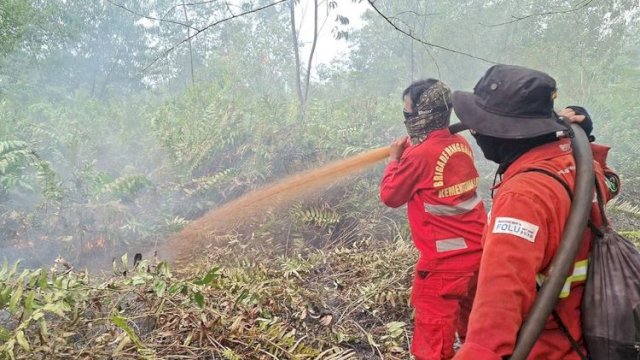 Hotspot Nasional Turun, Riau Nihil, Pengendalian Sumsel Diperkuat