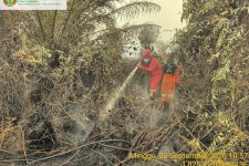 Pengendalian Karhutla Kalteng-Sumsel Diperkuat; 64 Armada Udara Dikerahkan