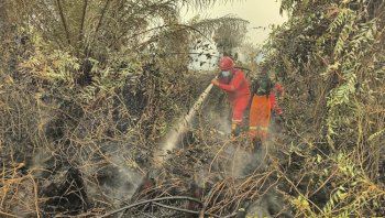 Pengendalian Karhutla Kalteng-Sumsel Diperkuat; 64 Armada Udara Dikerahkan