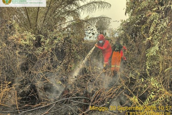Pengendalian Karhutla Kalteng-Sumsel Diperkuat; 64 Armada Udara Dikerahkan